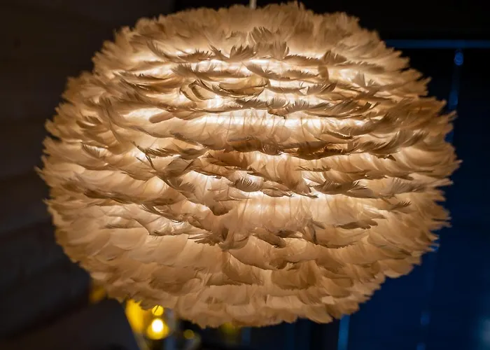 Dream&snow ザコパネ