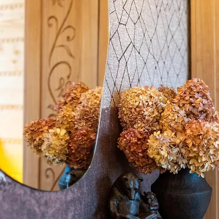 Dream&snow Apartament *